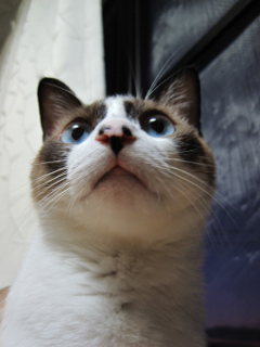 コメント165の画像