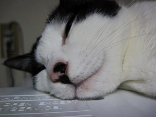 コメント169の画像