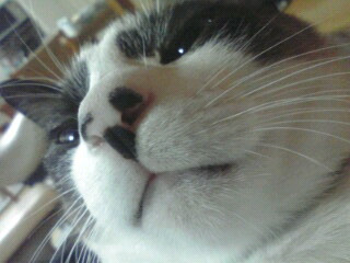 コメント189の画像