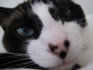 コメント202の画像