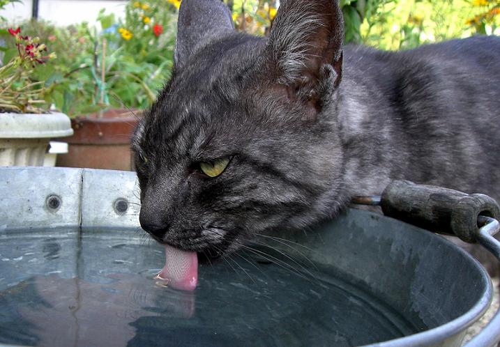 コメント73の画像