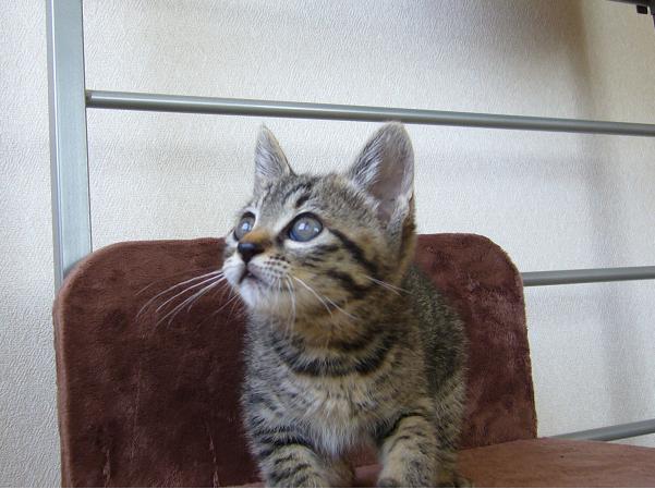 コメント151の画像