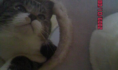 コメント88の画像