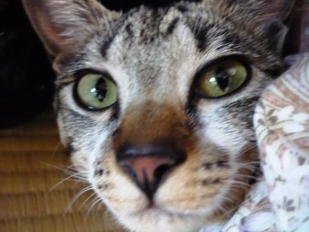 コメント124の画像