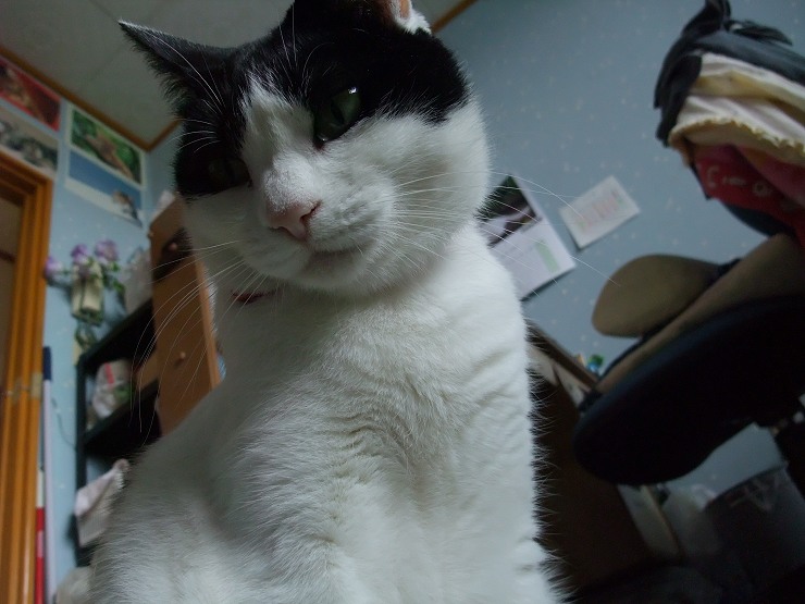 コメント159の画像