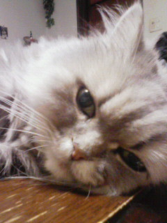 コメント152の画像