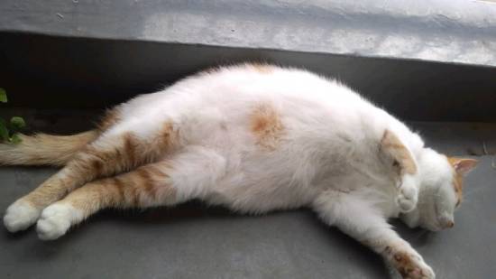 コメント195の画像