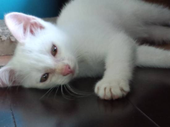 コメント150の画像