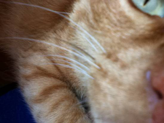 コメント172の画像