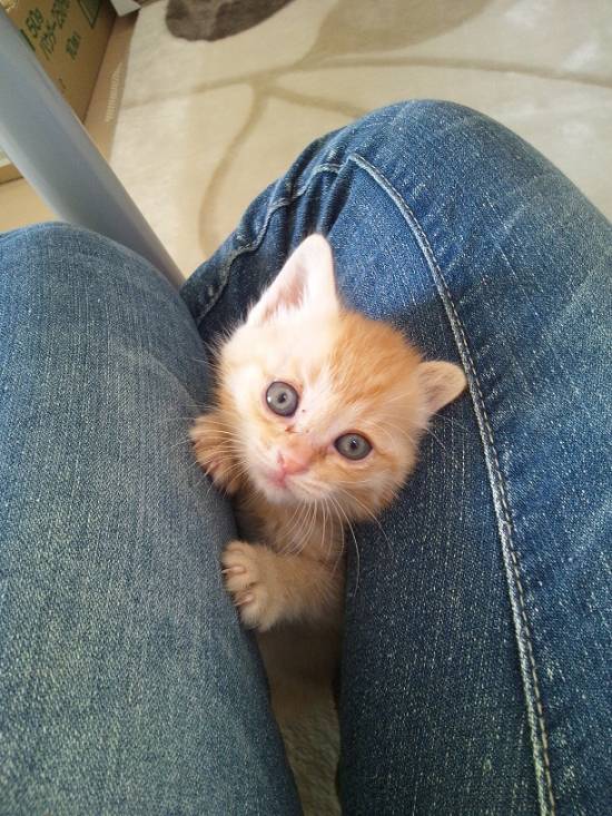 コメント188の画像