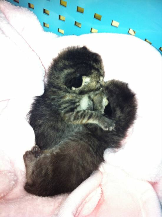 コメント191の画像