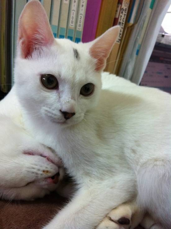 コメント193の画像