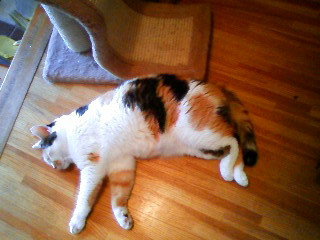 コメント200の画像