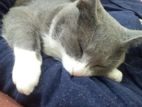 コメント267の画像