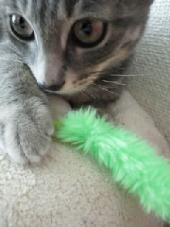 コメント214の画像