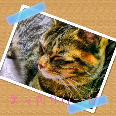 コメント238の画像