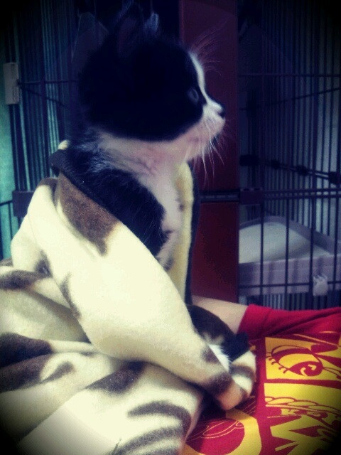 コメント280の画像