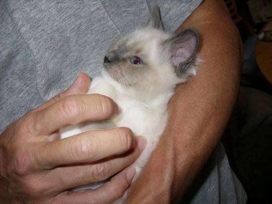 コメント152の画像