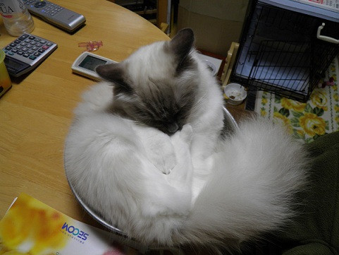 コメント178の画像