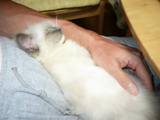 コメント187の画像