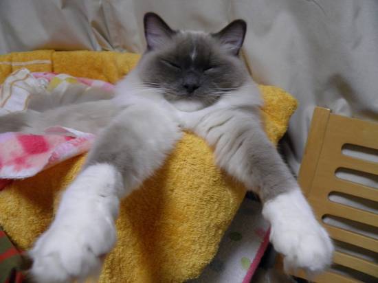 コメント189の画像