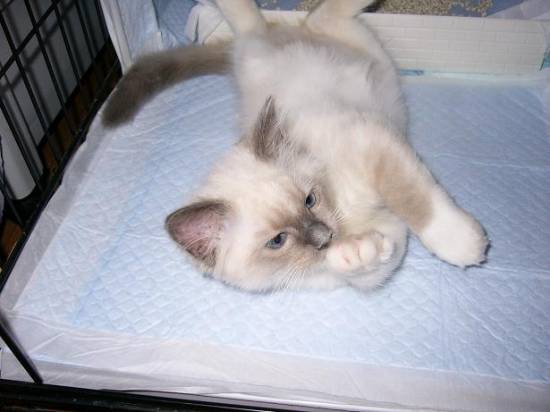 コメント192の画像