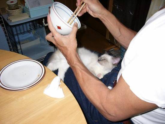 コメント211の画像