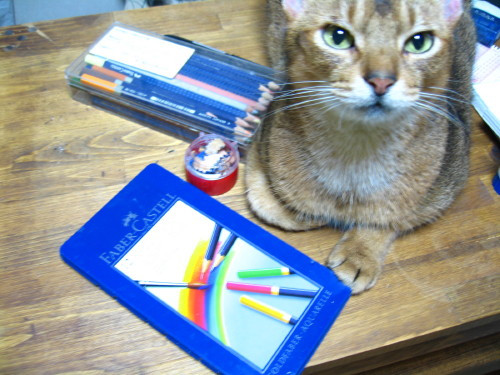 コメント103の画像