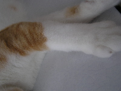 コメント87の画像