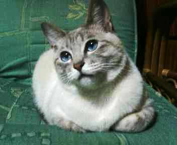 コメント90の画像