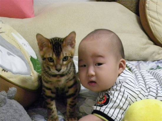 コメント20の画像