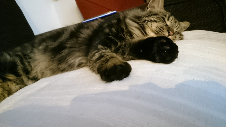 コメント543の画像