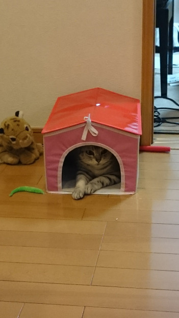 コメント570の画像