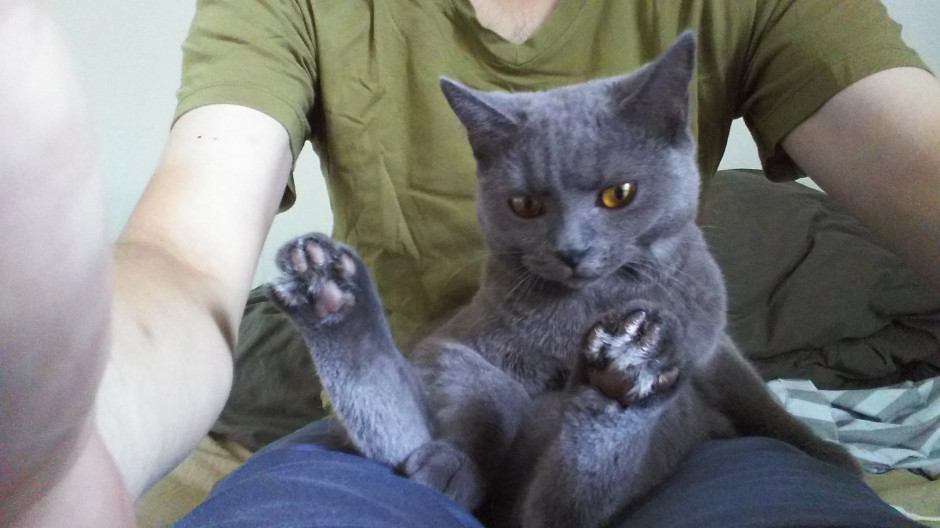 コメント578の画像