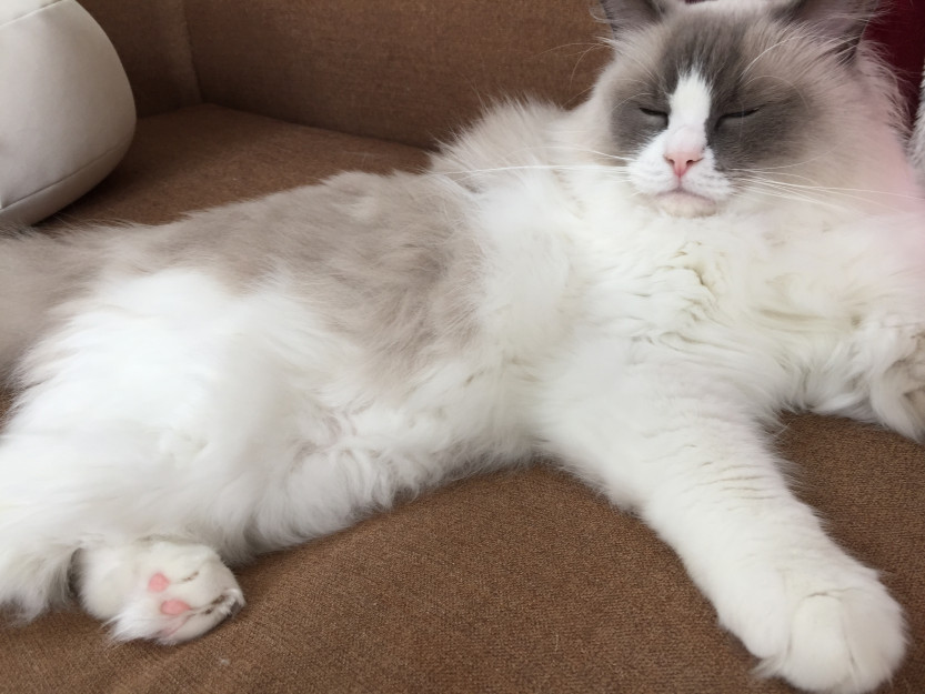 コメント579の画像