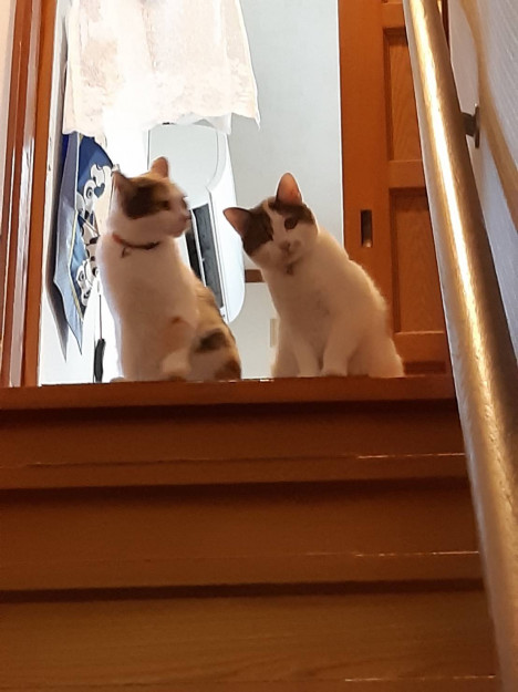 コメント587の画像