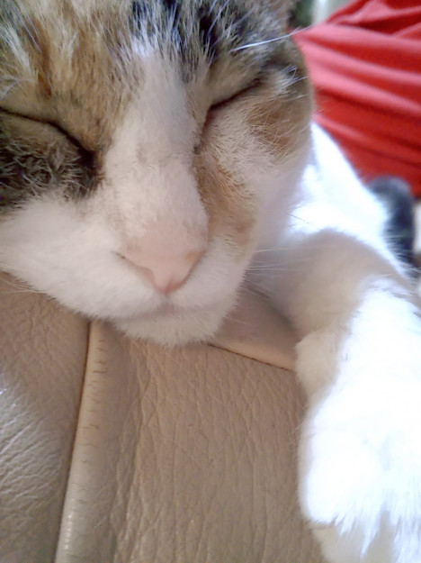 コメント607の画像