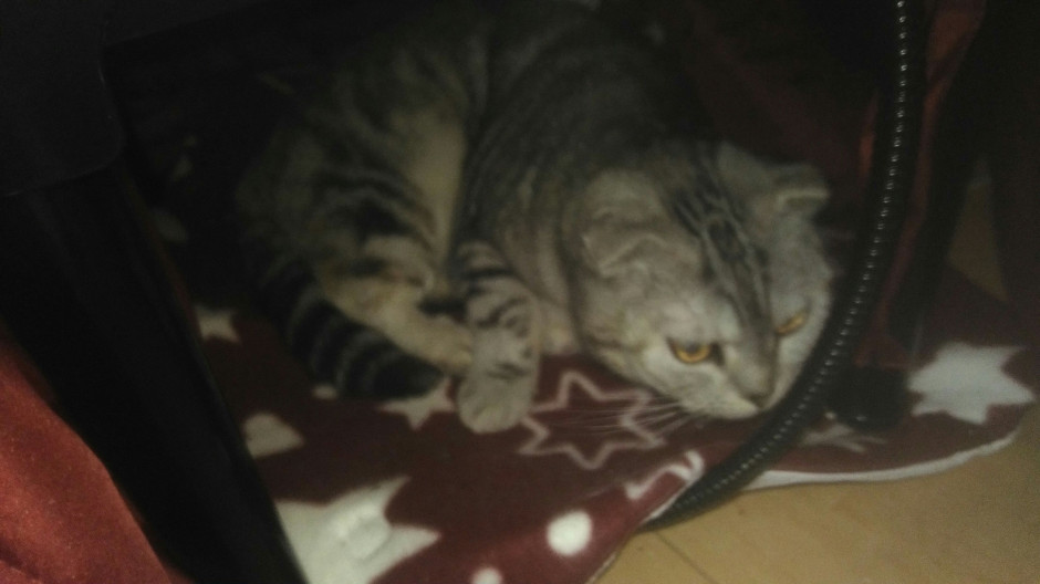 コメント614の画像