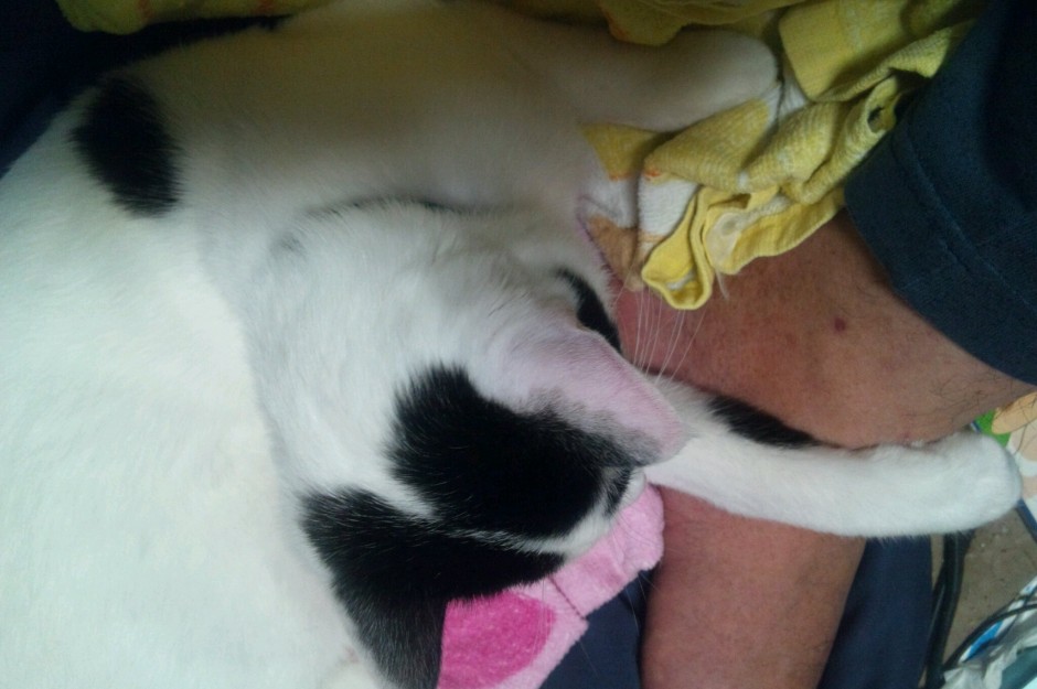 コメント19の画像