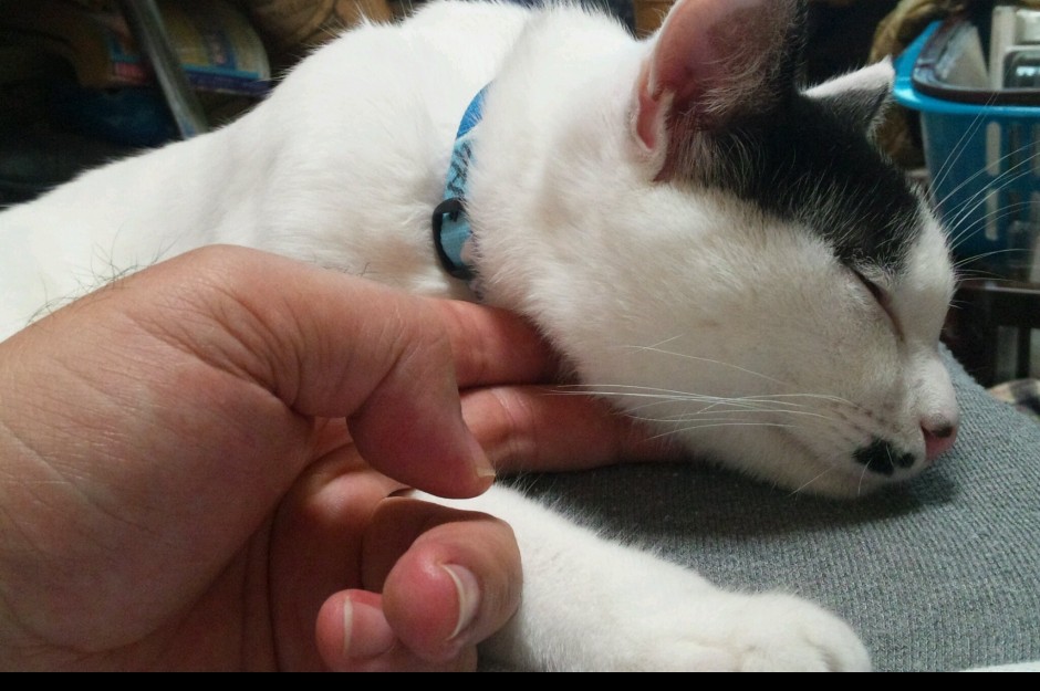 コメント27の画像