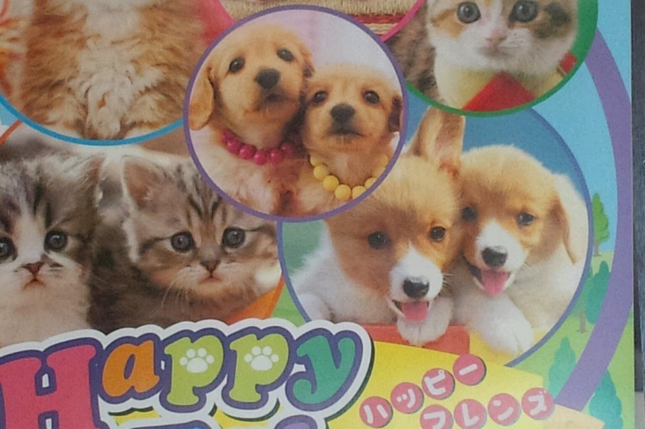 コメント36の画像