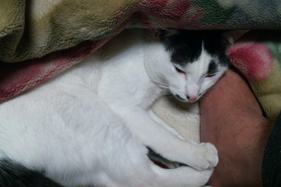 コメント182の画像