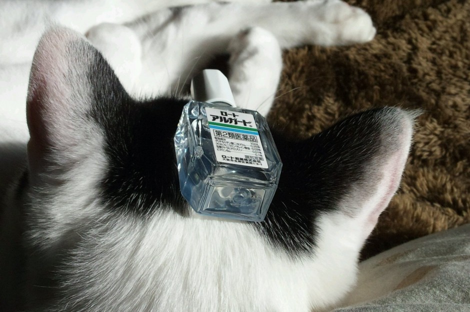 コメント273の画像