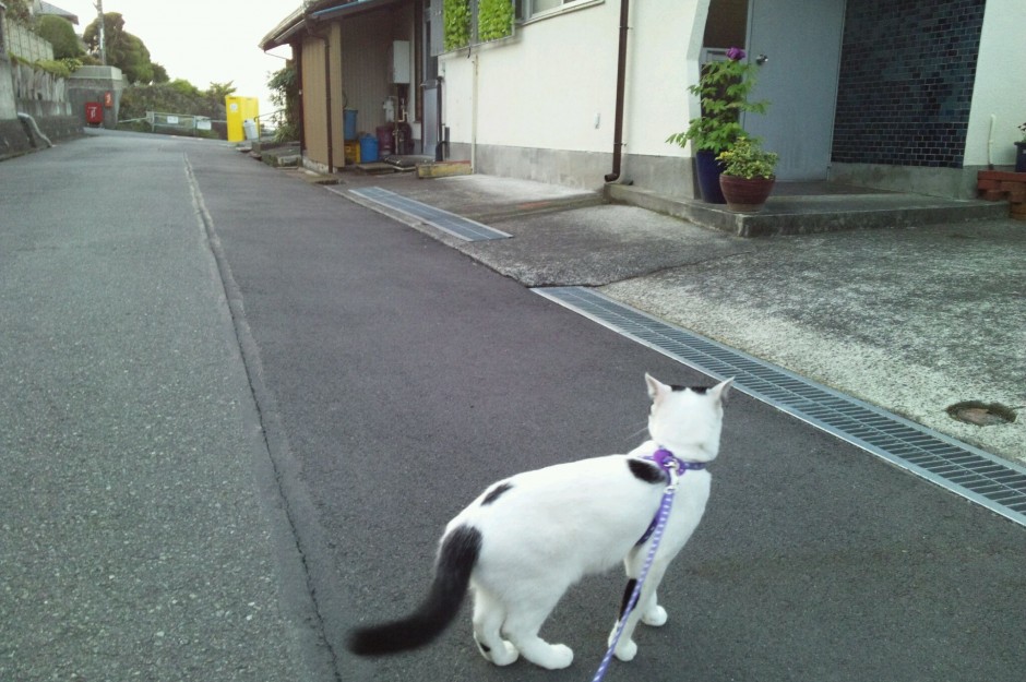 コメント326の画像