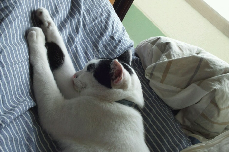 コメント346の画像