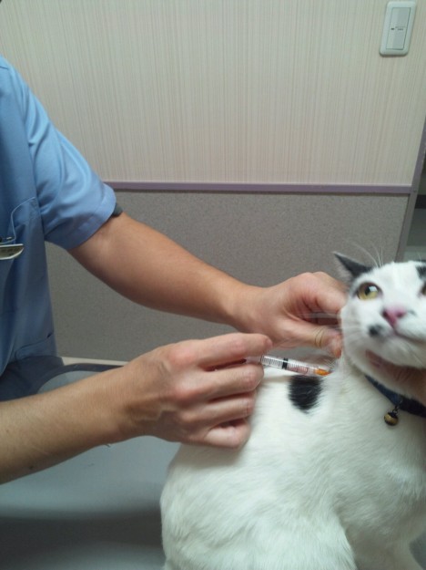 コメント380の画像