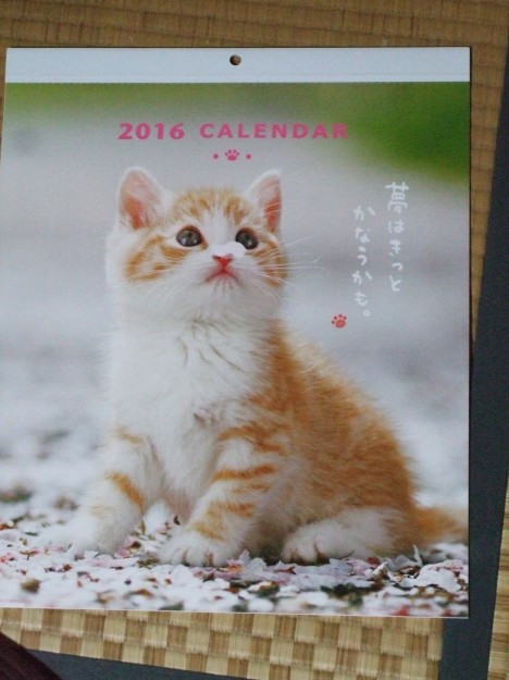 コメント398の画像