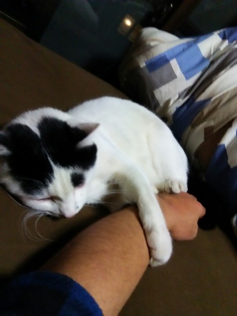 コメント467の画像