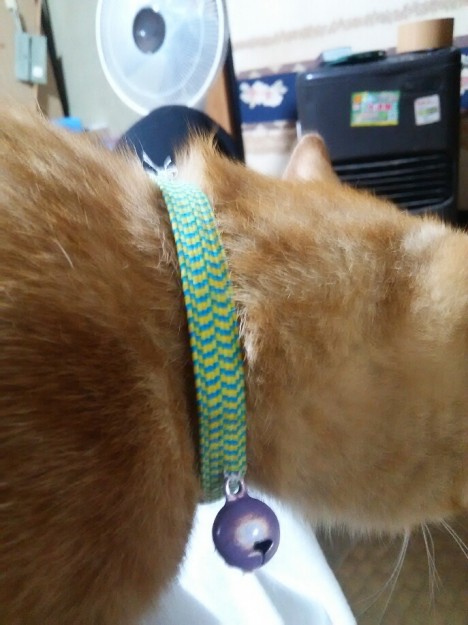 コメント500の画像