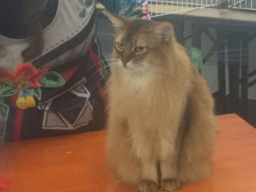 コメント548の画像